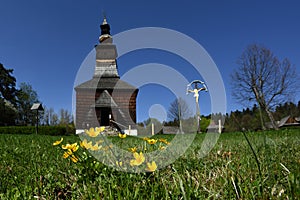 Buttercups at Folk Church, Spis region, Slovakia
