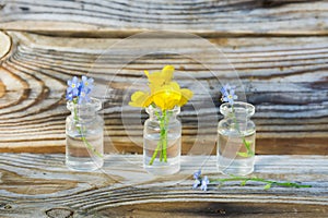 buttercups and forget-me-nots in small glass jars.