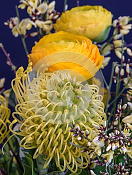 Buttercups and protea in a bouquet on blue background,  fine art still life natural floral color close up of a bunch of flowers