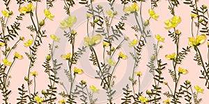 Buttercups. Yellow small flowers pattern. Delicate pink floral pattern. Summer design. TREND COLORS