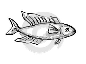 Butterfish New Zealand Fish Cartoon Retro Drawing