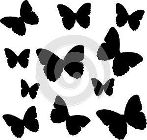 Butterflies