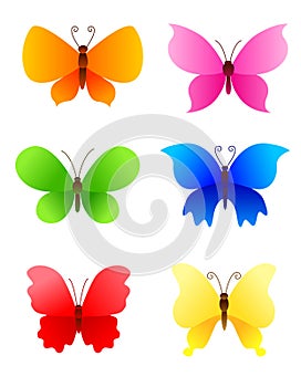 Butterflies / butterfly
