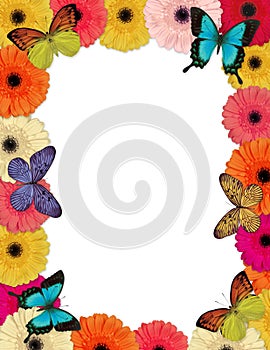 Butterflies & Daisies Frame