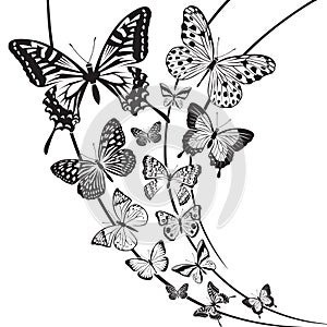 Butterflies design