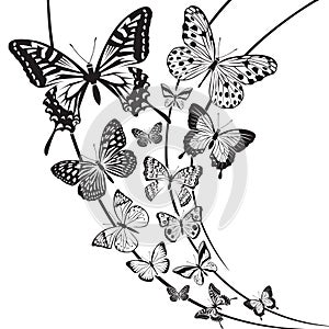 Butterflies design photo