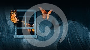 Butterflies escaping open window graphic abstract background