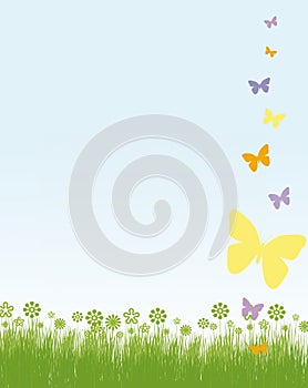 Butterflies and flowers frame