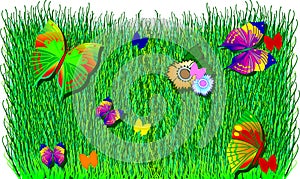 Butterflies, Flowers and Grass