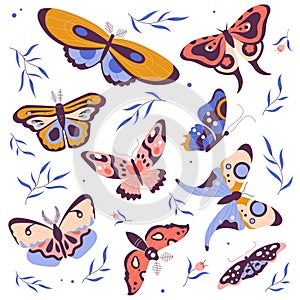 Butterflies Fluttering with Wings and Floral Twigs Vector Set