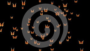 Butterflies forming internet mail symbol