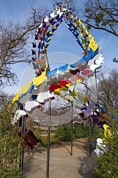 Butterflies in Grapevine II, Texas