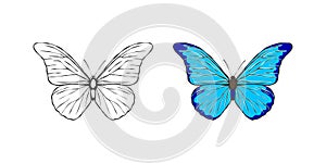 Butterflies. Hand drawn blue and black butterflies. Vector scalable graphics