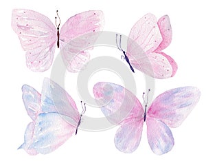 Butterflies hand drawn watercolor raster illustrations set