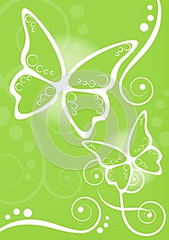 Butterflies lime background