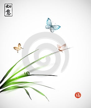 Butterflies and little snail on leaves of grass h