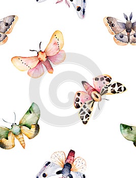 Butterflies and moths on white texture.
