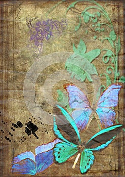 Butterflies on old vellum