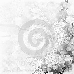 Butterflies and orchids flowers background