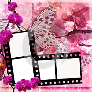 Butterflies and orchids flowers background with film frame ( 1