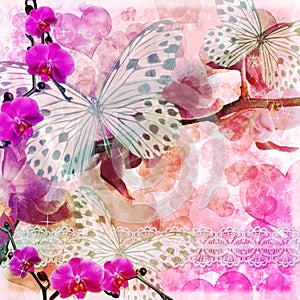 Butterflies and orchids flowers pink background ( 1 of set)