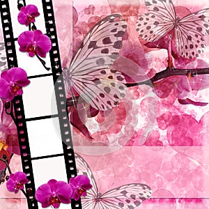 Butterflies and orchids flowers pink background with film fram