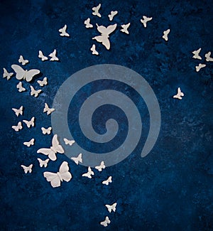 Butterflies over dark blue background