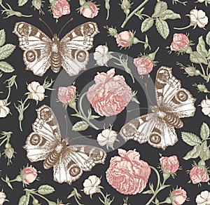 Seamless pattern peacock butterfly Realistic isolated flowers Vintage background Rose Wallpaper Drawing engraving agrostemma photo