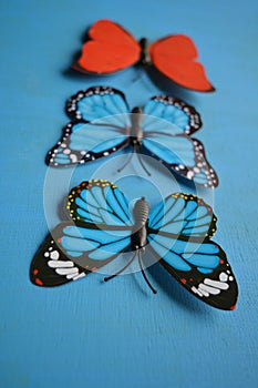 Butterflies red and blue decorative