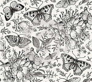Butterflies seamless pattern insect Dogrose Rosehip Beautiful floral Flowers realistic Engraving drawing Vector Illustration moths photo