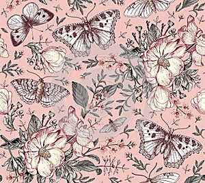 Butterflies seamless pattern insect Dogrose Rosehip Beautiful floral Flowers realistic Engraving drawing Vector Illustration moths photo