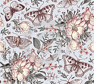 Butterflies seamless pattern insect Dogrose Rosehip Beautiful floral Flowers realistic Engraving drawing Vector Illustration moths
