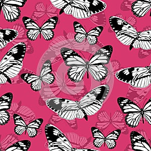 Butterflies seamless pattern, monochrome vector background. Black and white various insects on a pink backdrop. For fabric design,