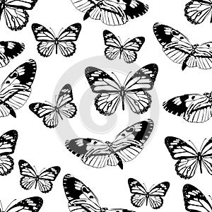 Butterflies seamless pattern, monochrome vector background, coloring book. Black and white various insects on a white backdrop. Fo