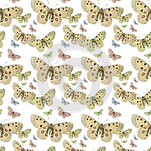 Butterflies seamless repeat pattern background