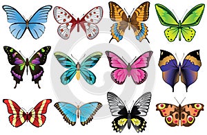 Butterflies set photo