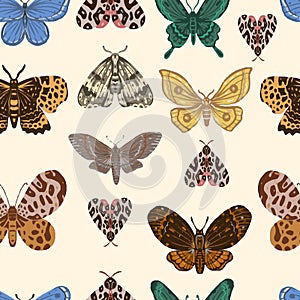 Butterflies set vintage retro scandinavian style boho nature insects hand drawn. Bright colorful realistic butterflies colored bl