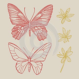 Butterflies silhouettes. Butterfly card template on romantic ckground. Graphic illustration.