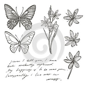 Butterflies silhouettes. Butterfly card template on romantic ckground. Graphic illustration. Handwritten abstract text