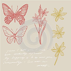 Butterflies silhouettes. Butterfly card template on romantic ckground. Graphic illustration. Handwritten abstract text