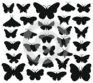 Butterflies silhouettes. Hand drawn butterfly, drawing insect graphic. Black drawing butterflies silhouettes isolated