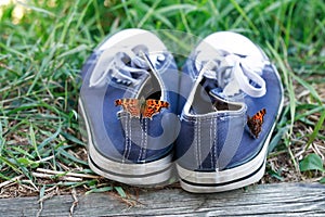 Butterflies Sit On Sneakers