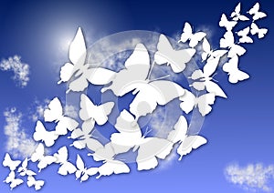 Butterflies and sky