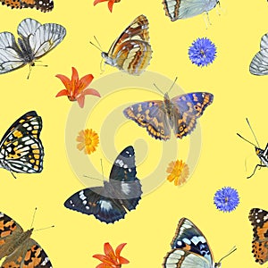 Butterflies and wildflowers. Seamless pattern