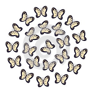 Butterflies yellow with black on white background