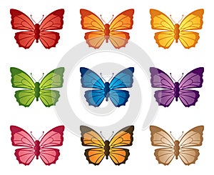 Butterflutter