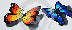 Butterfly 3d painting. Abstract 3d colourful butterfly water paintings