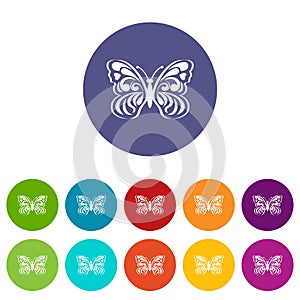 Butterfly with abstract patterning on wings icon