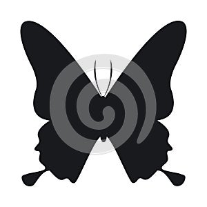 Butterfly animal insect silhouette icon