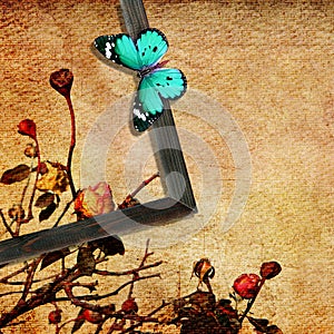 Butterfly art vintage abstract